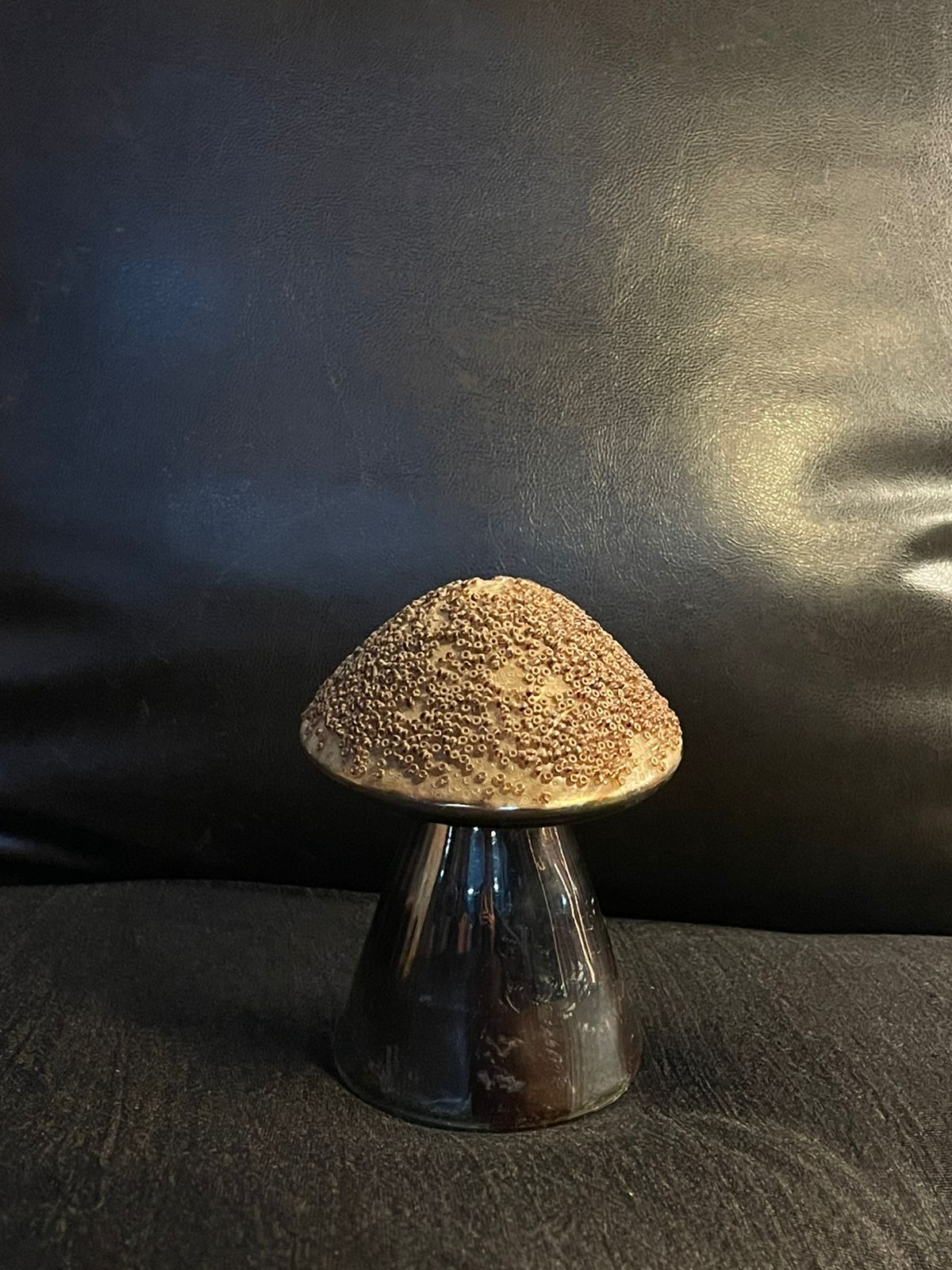 mushroom decor